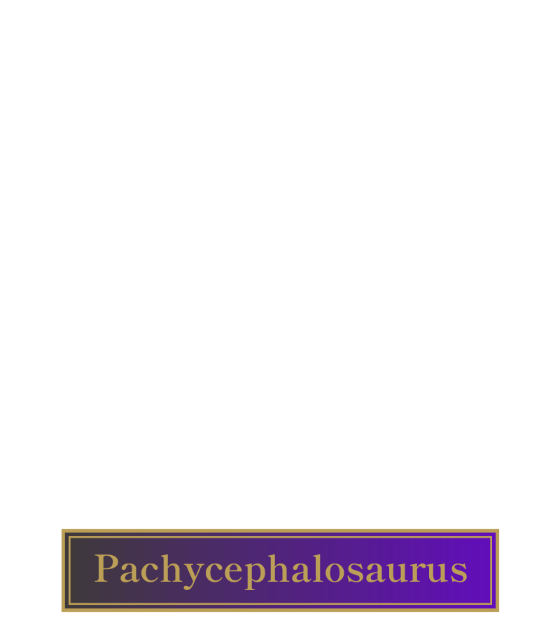 Pachycephalosaurus